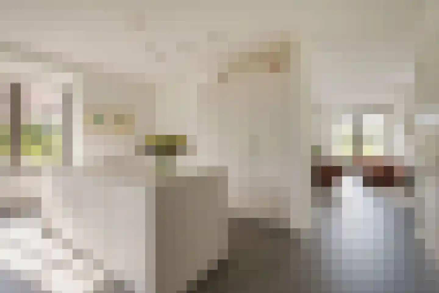 Vecht en Veld 35 Vreeland thumbnail 20