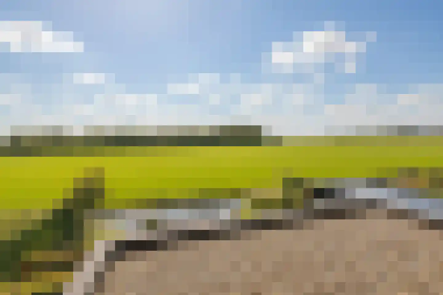 Vecht en Veld 35 Vreeland thumbnail 28