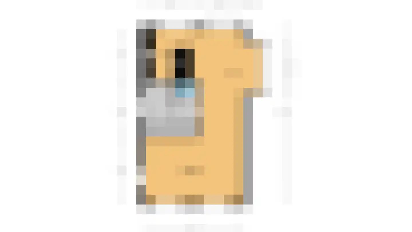 Vecht en Veld 5 Vreeland thumbnail 15