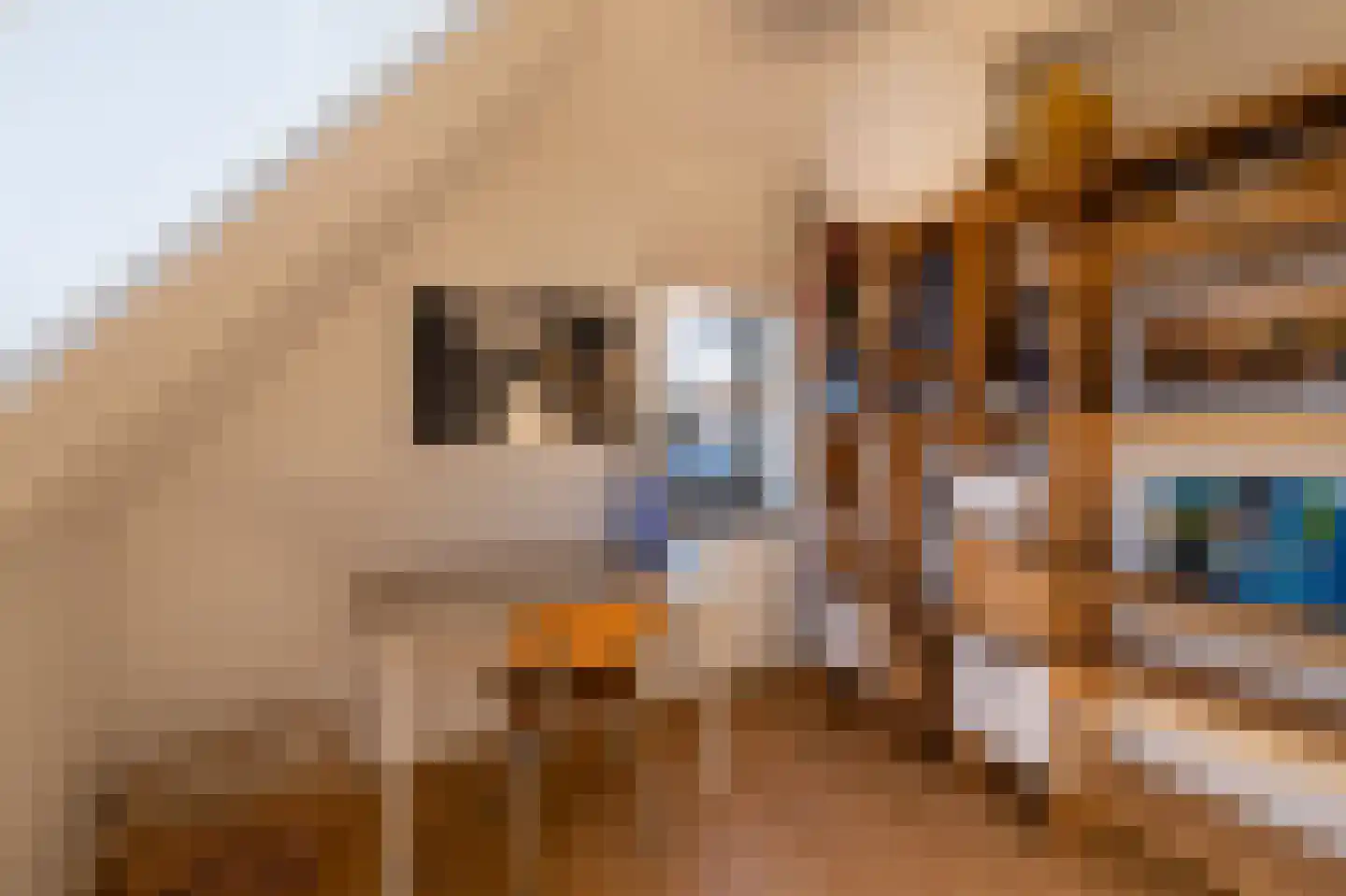 Vecht en Veld 5 Vreeland thumbnail 30