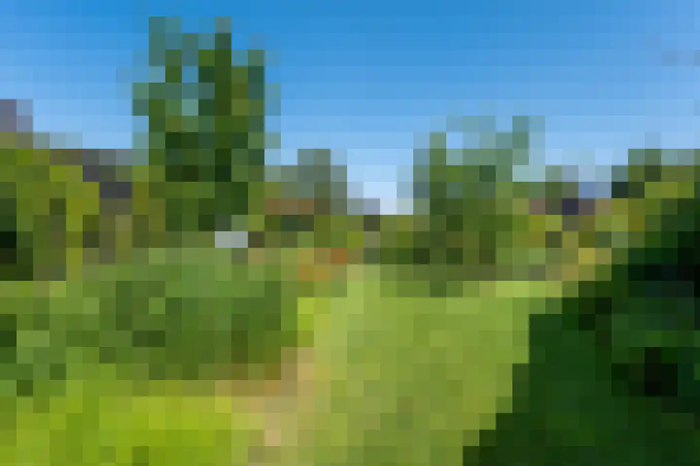 Vecht en Veld 5 Vreeland thumbnail 38