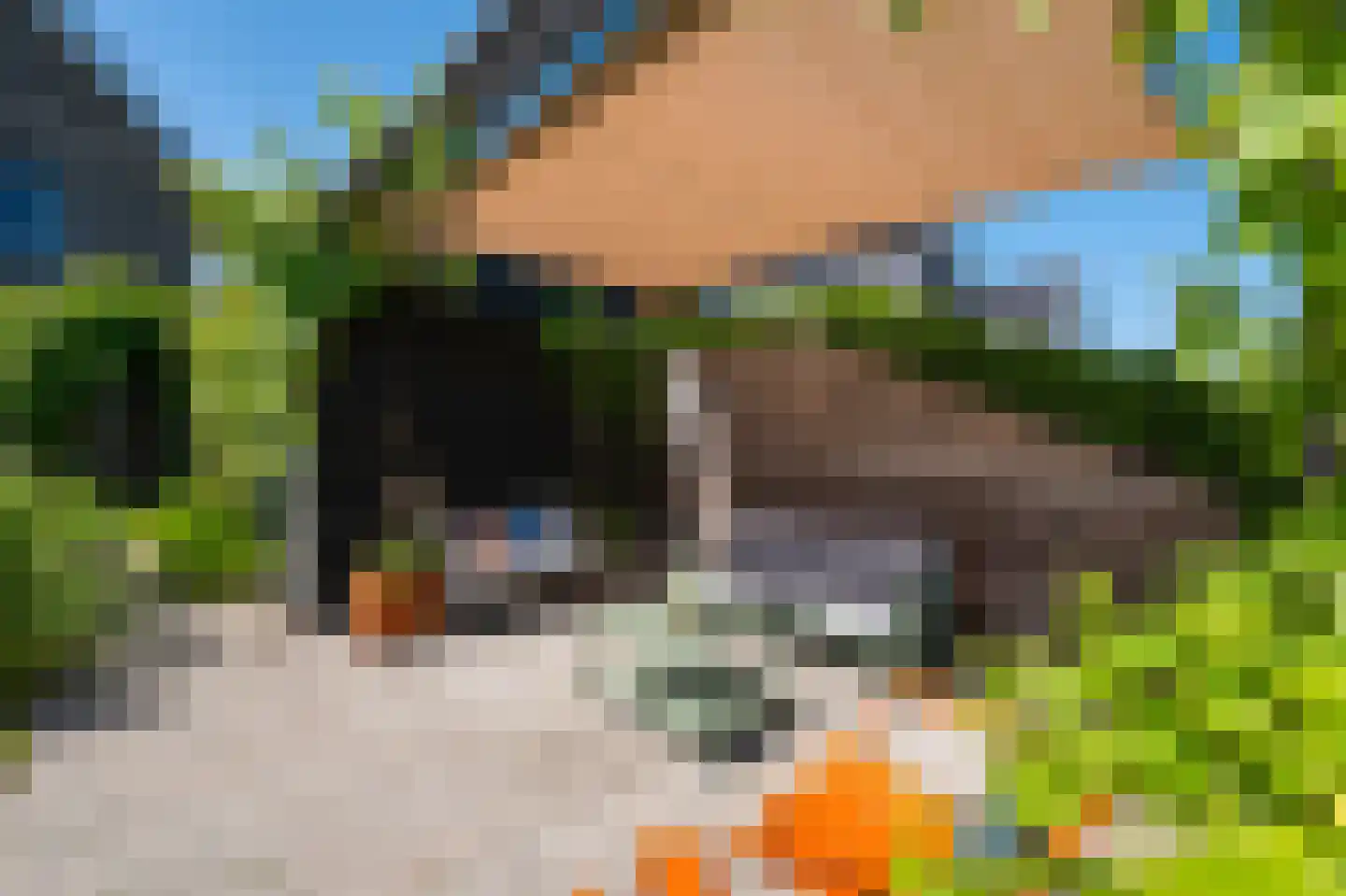 Vecht en Veld 5 Vreeland thumbnail 40