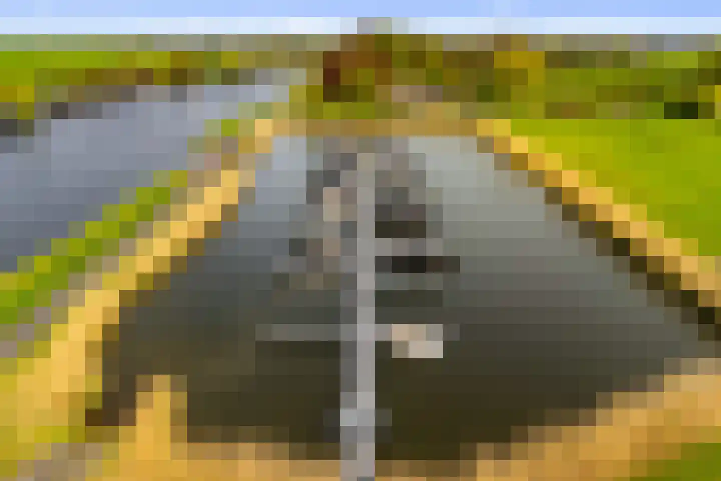 Vecht en Veld 5 Vreeland thumbnail 47