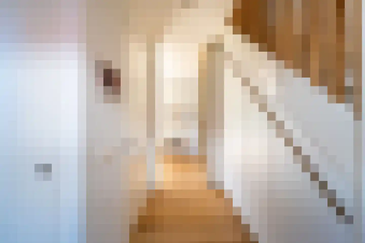 Vecht en Veld 5 Vreeland thumbnail 5