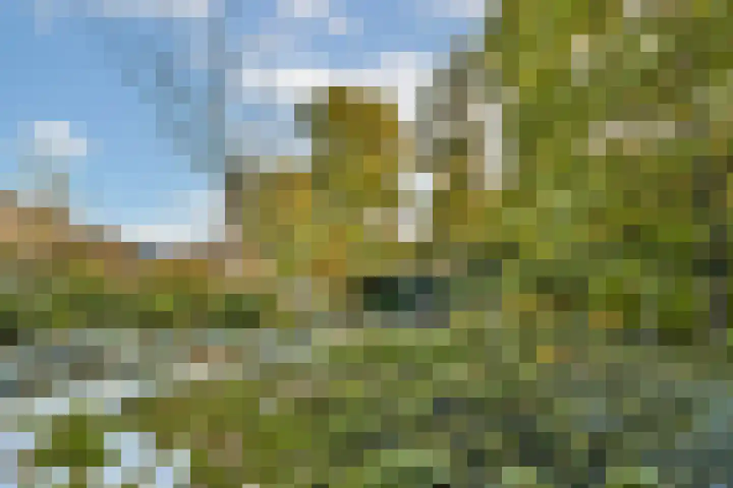 Vecht en Veld 53 Vreeland thumbnail 18