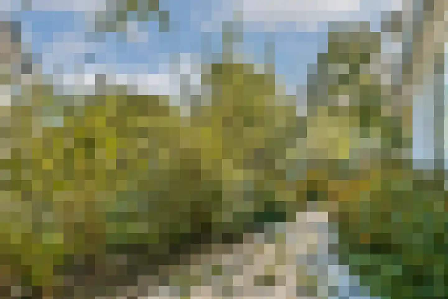 Vecht en Veld 53 Vreeland thumbnail 19