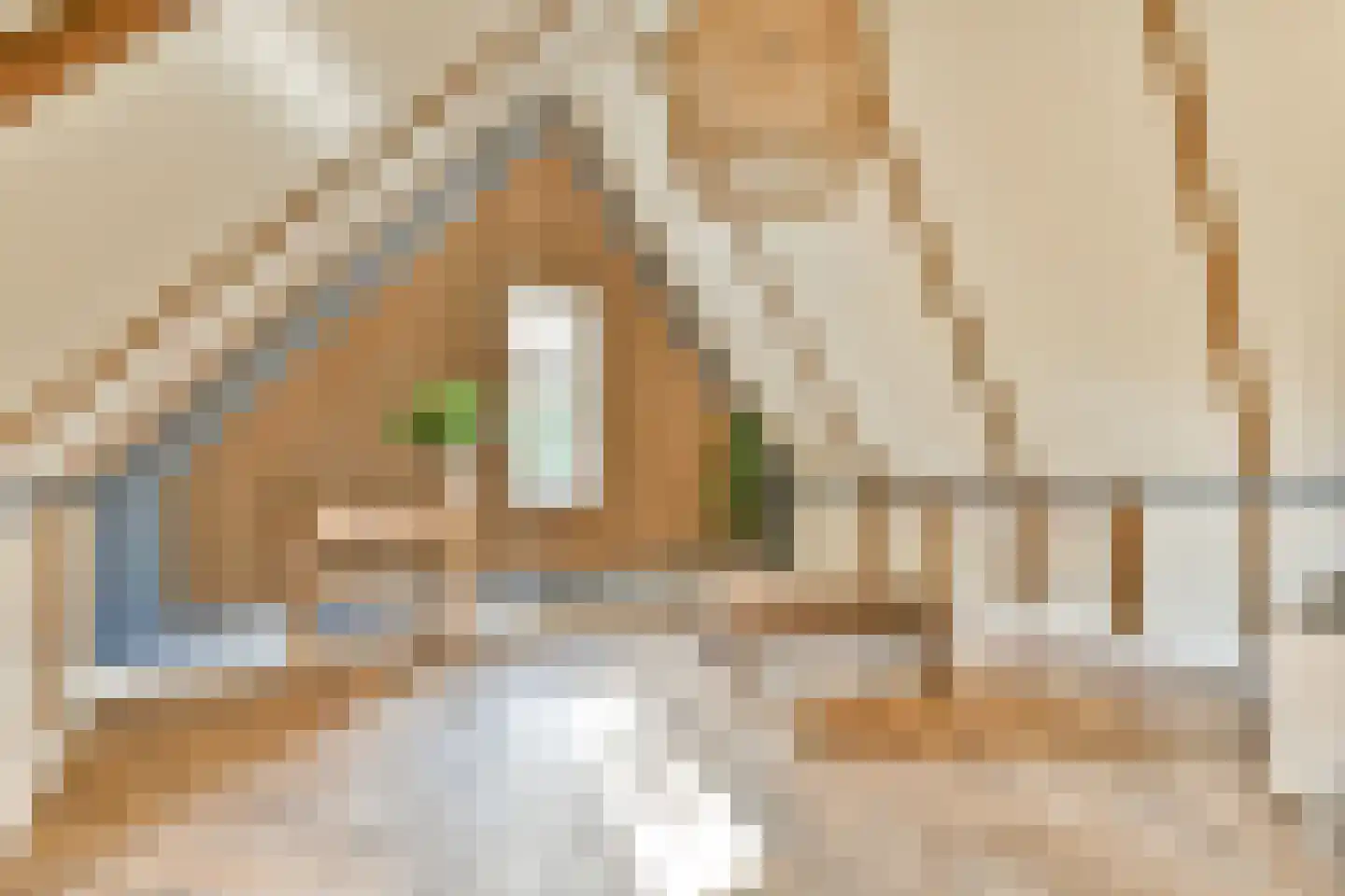 Vecht en Veld 53 Vreeland thumbnail 28