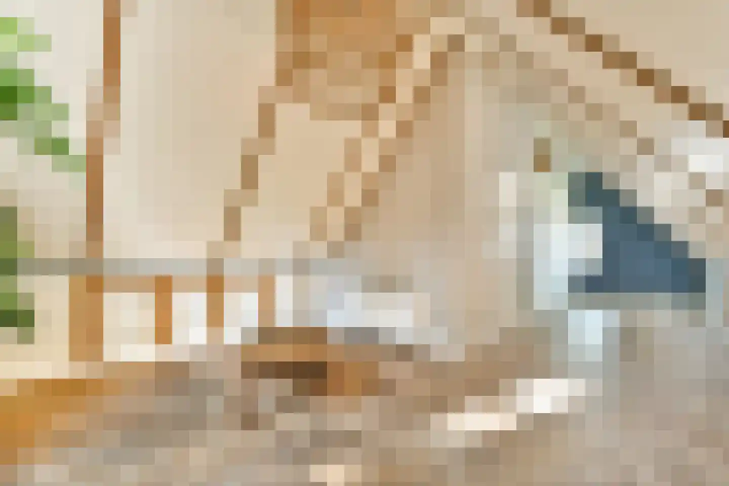 Vecht en Veld 53 Vreeland thumbnail 29
