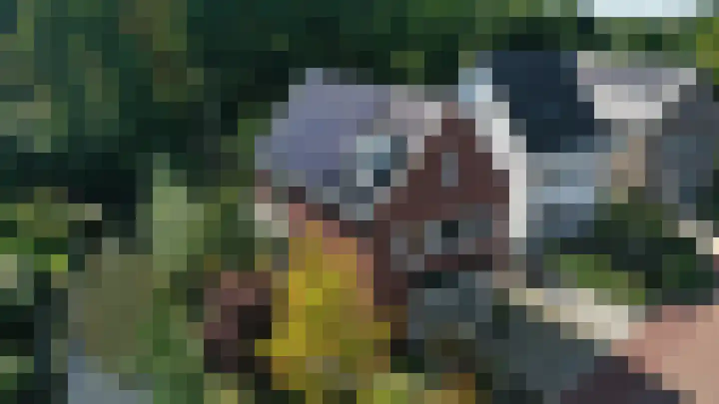 Vecht en Veld 53 Vreeland thumbnail 31