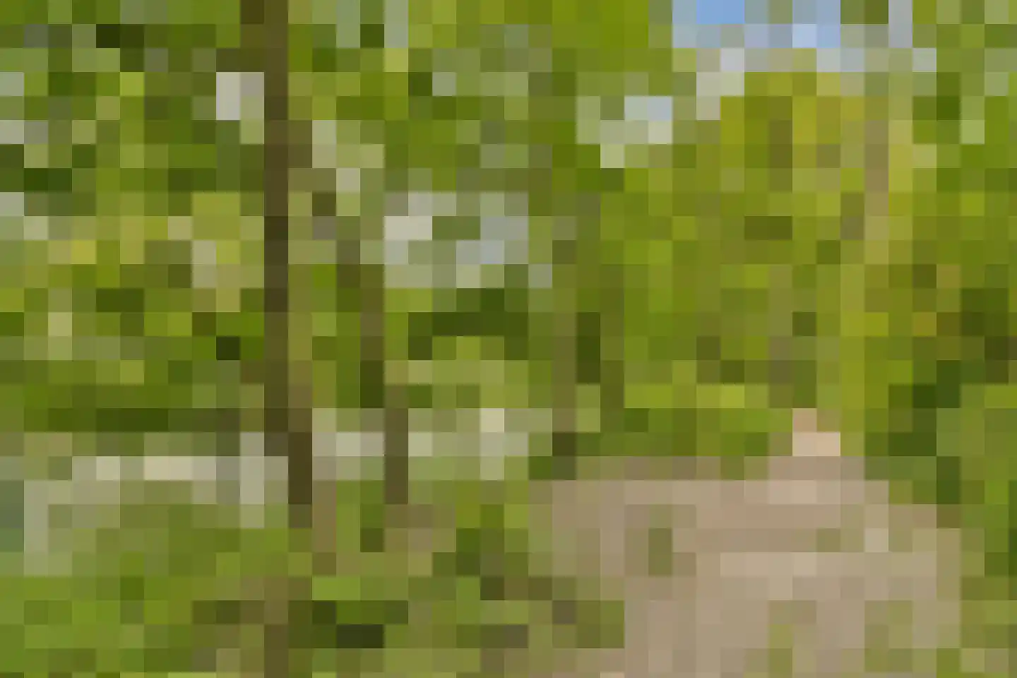 Vecht en Veld 53 Vreeland thumbnail 32
