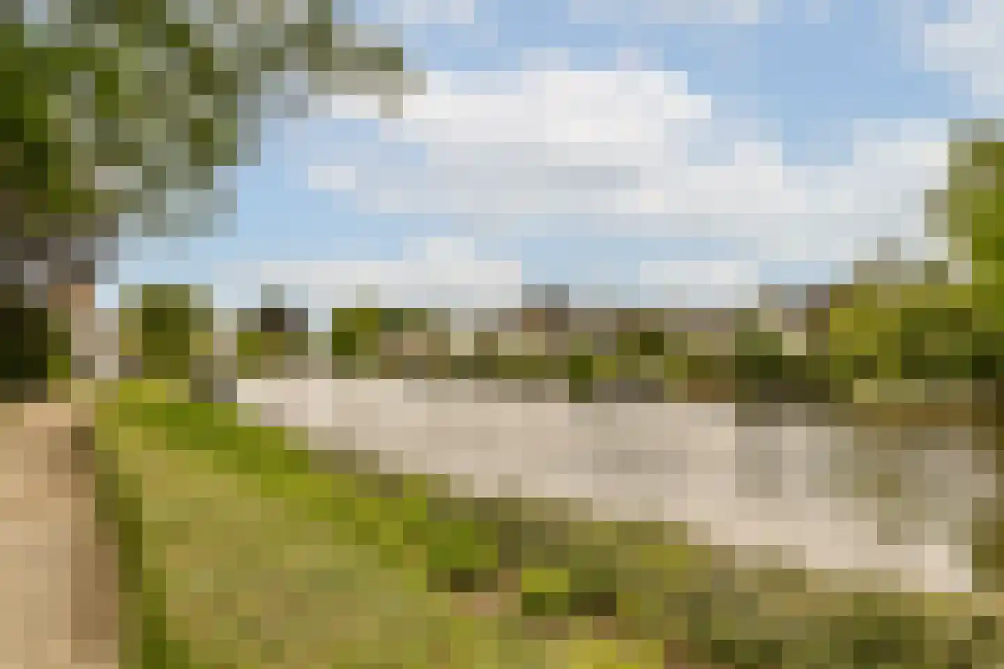 Vecht en Veld 53 Vreeland thumbnail 33
