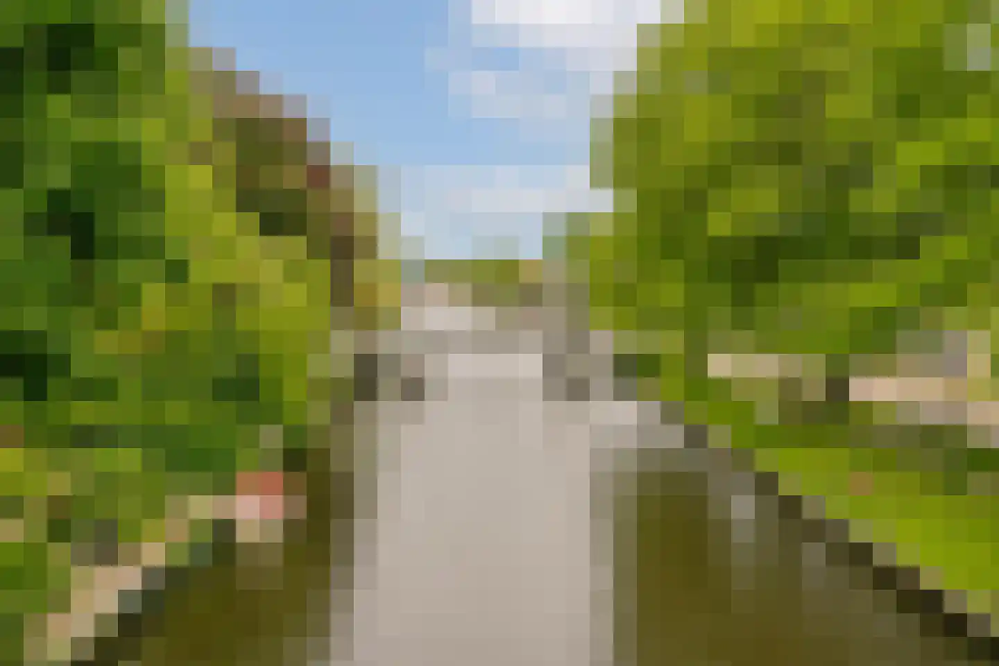 Vecht en Veld 53 Vreeland thumbnail 34