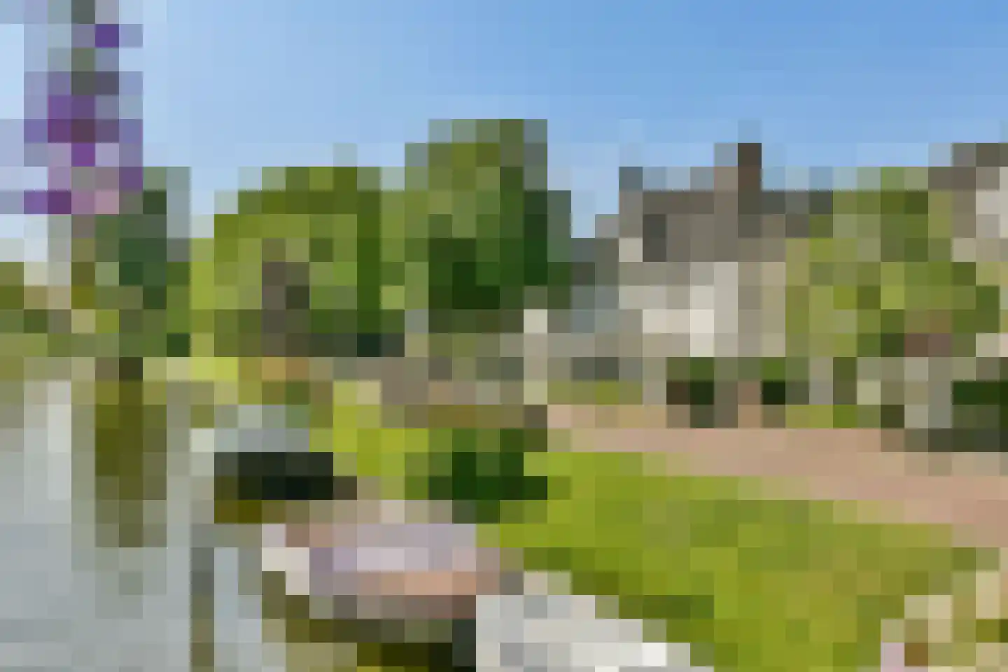 Vecht en Veld 53 Vreeland thumbnail 35