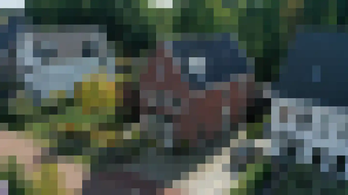 Vecht en Veld 53 Vreeland thumbnail 6