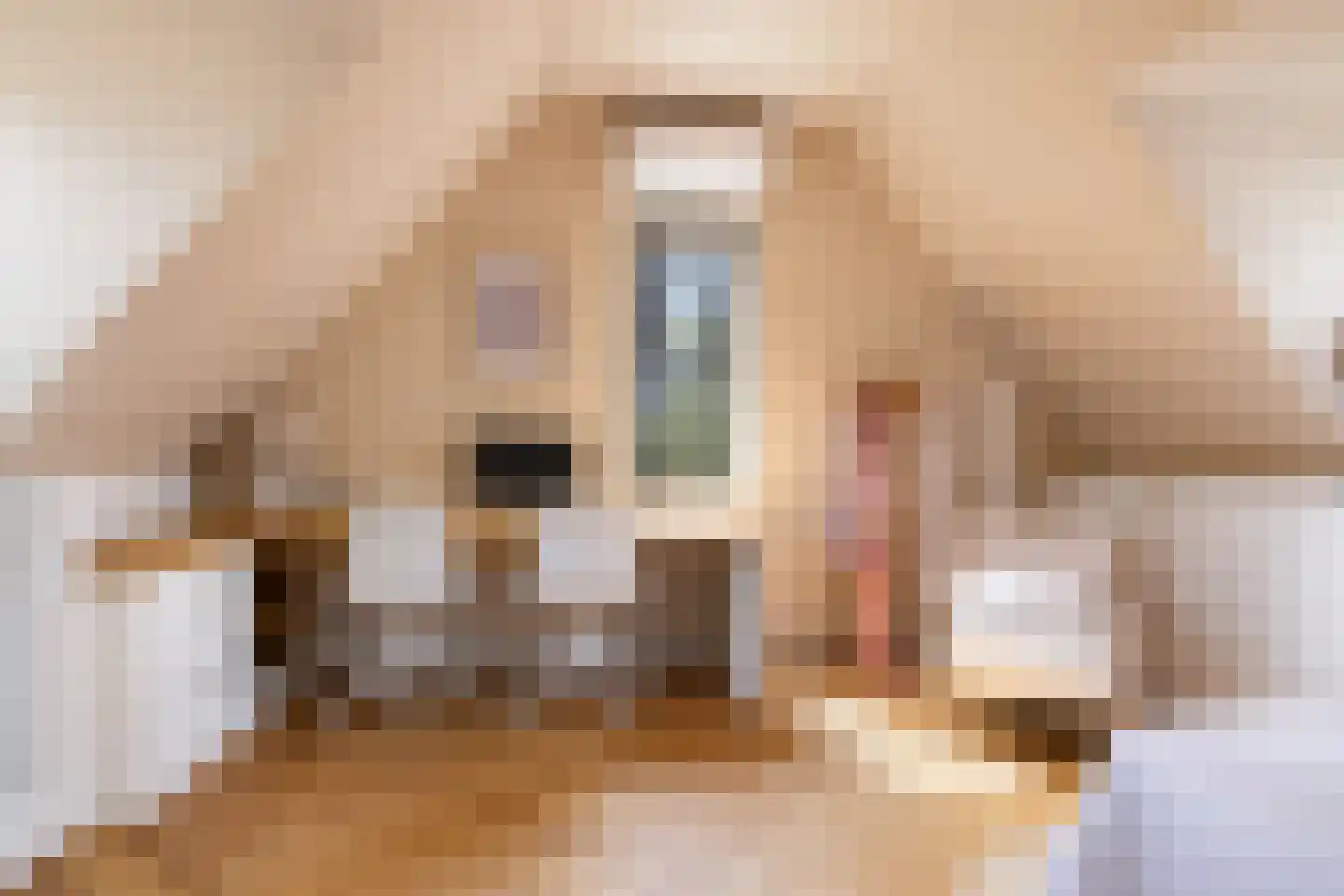 Vecht en Veld 65 Vreeland thumbnail 26