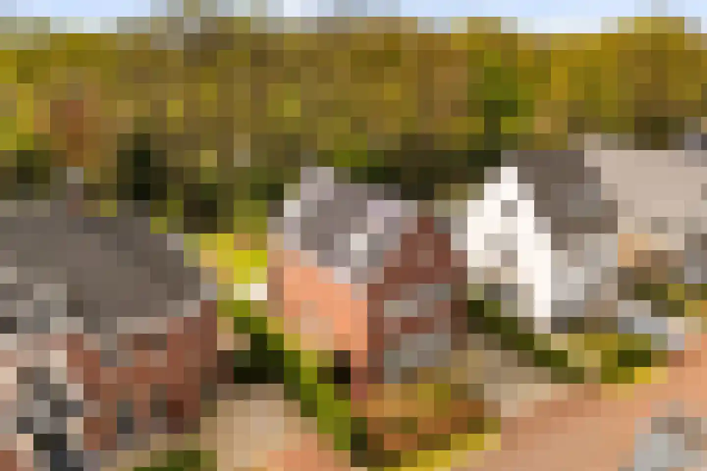 Vecht en Veld 65 Vreeland thumbnail 32