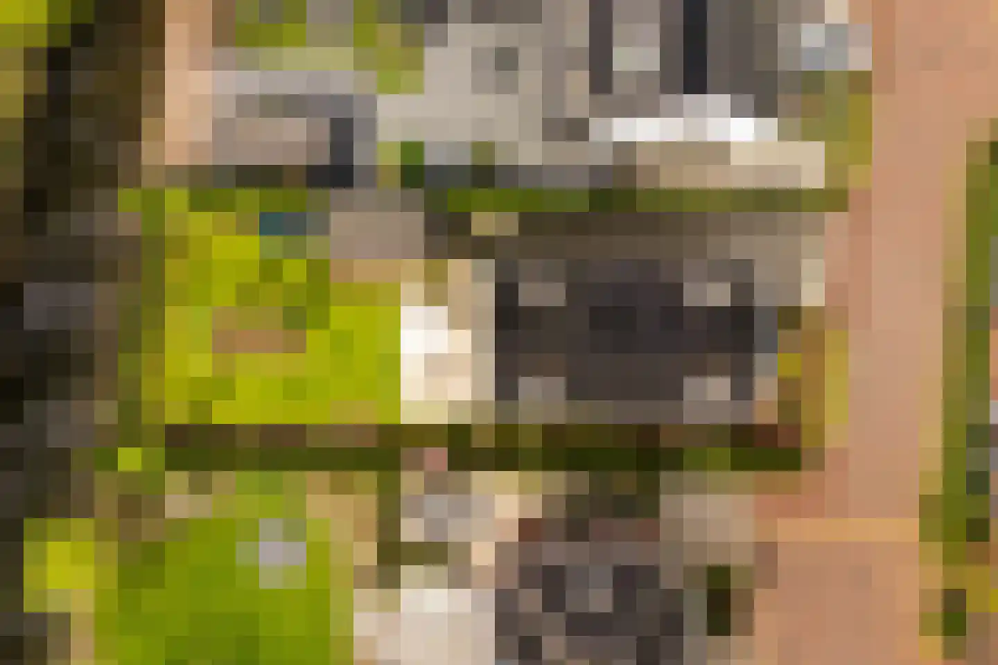 Vecht en Veld 65 Vreeland thumbnail 33
