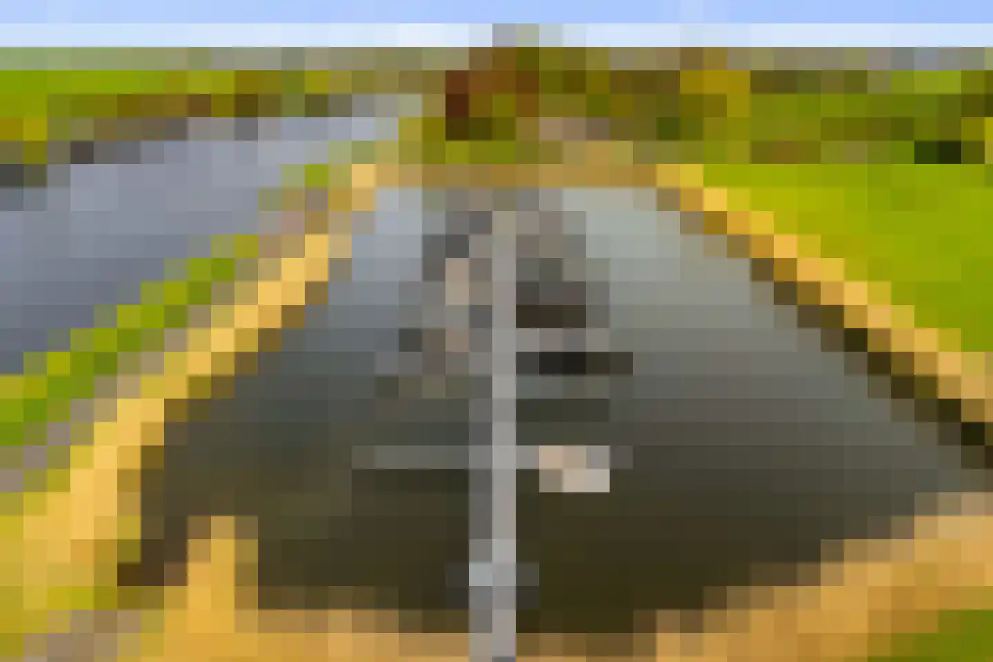 Vecht en Veld 65 Vreeland thumbnail 35