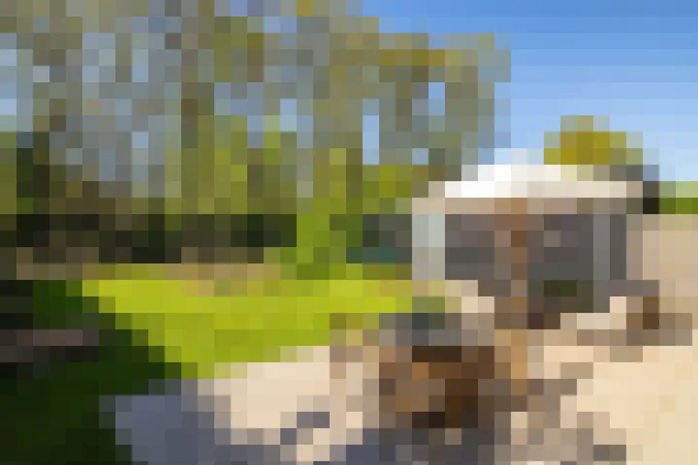 Vecht en Veld 65 Vreeland thumbnail 5