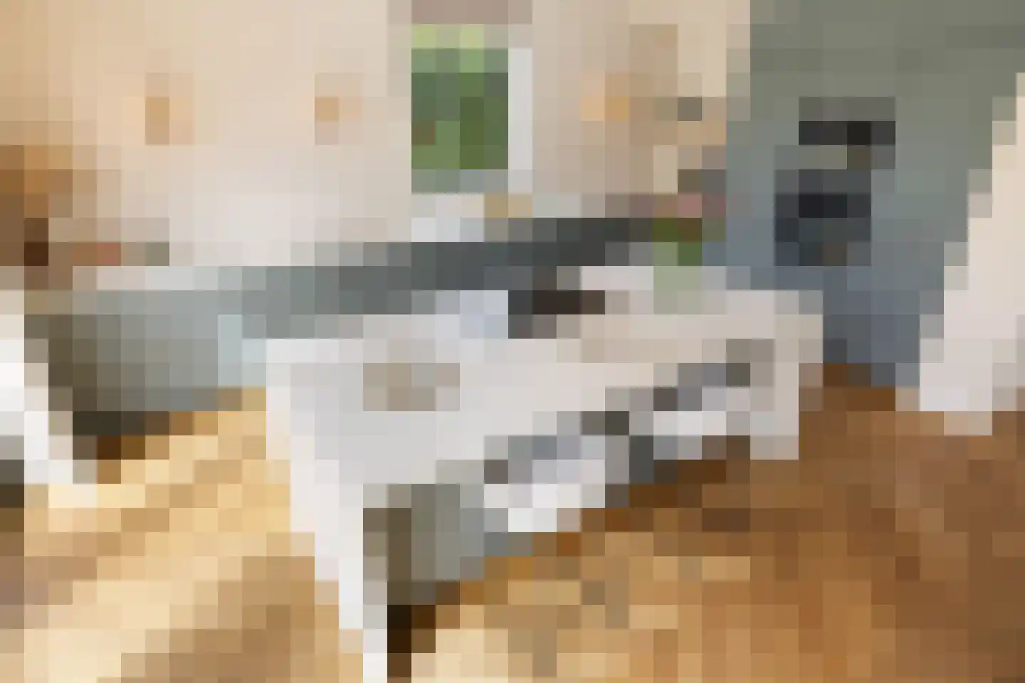 Vecht en Veld 65 Vreeland thumbnail 9