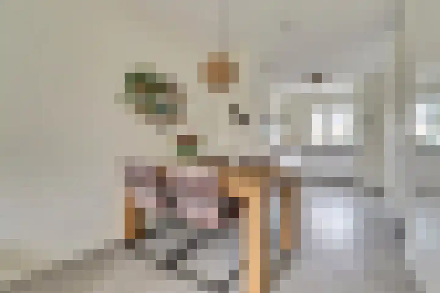 Vechtdal 14 Ede thumbnail 10