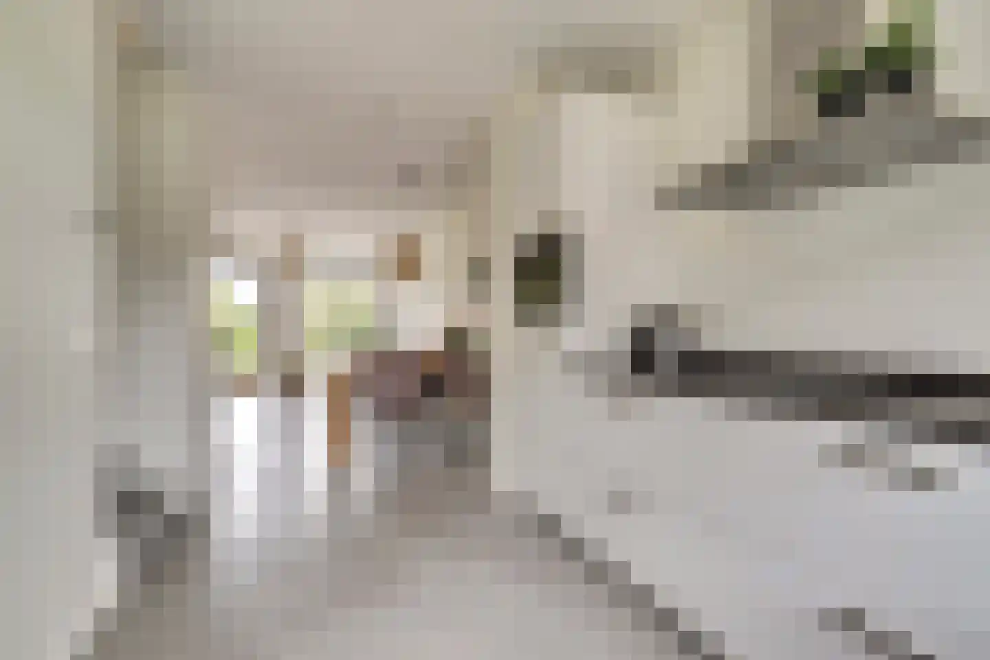 Vechtdal 14 Ede thumbnail 11