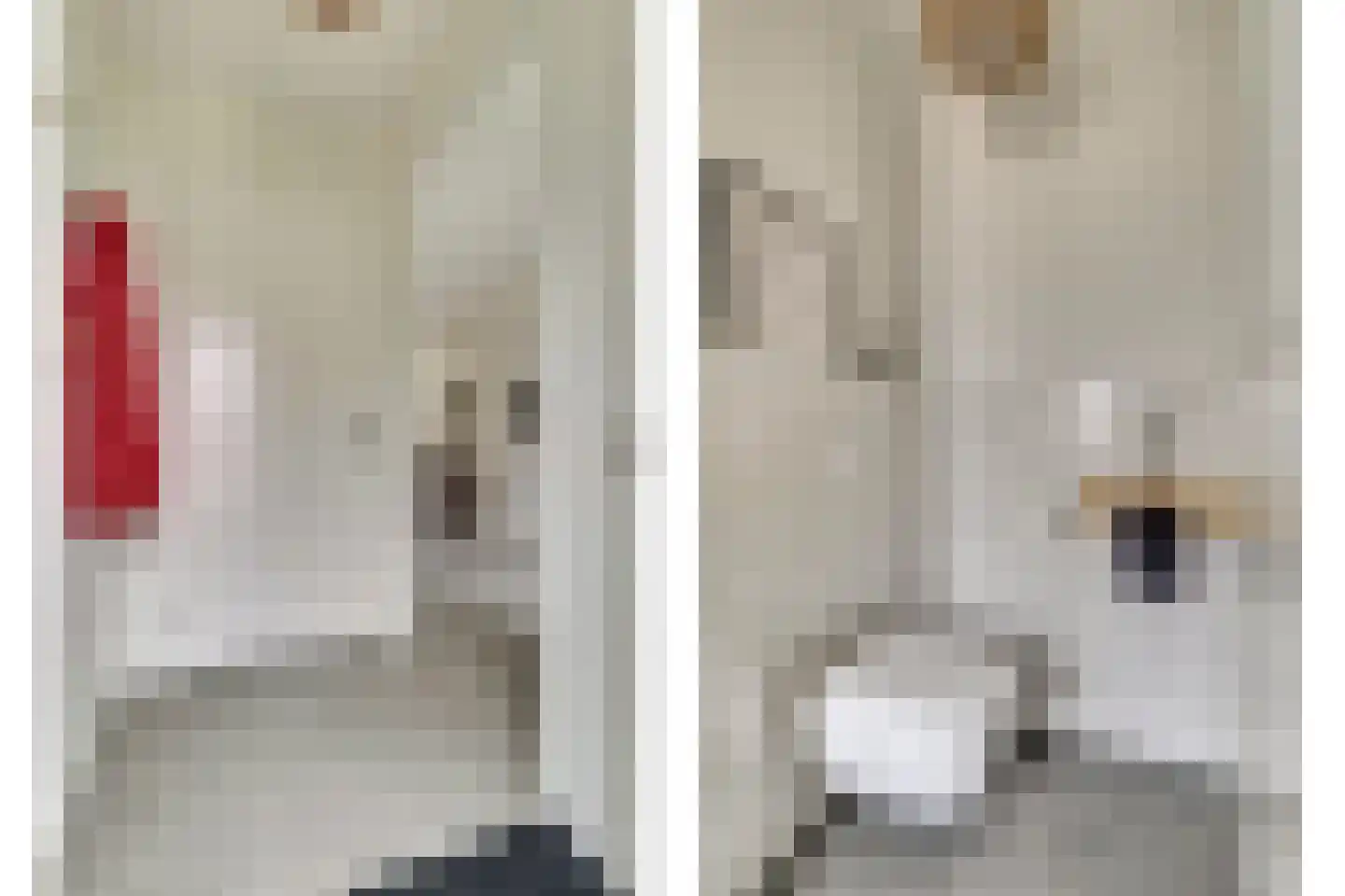 Vechtdal 14 Ede thumbnail 12