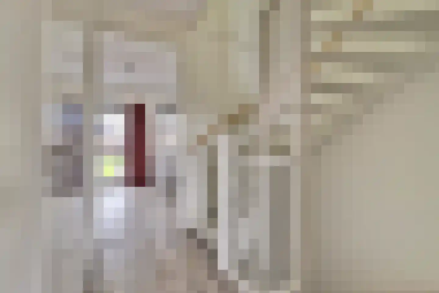Vechtdal 14 Ede thumbnail 13