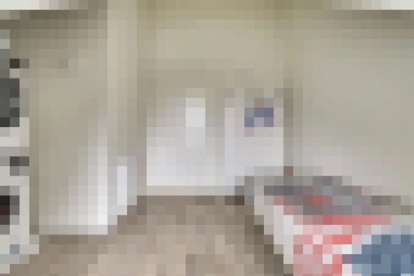 Vechtdal 14 Ede thumbnail 23