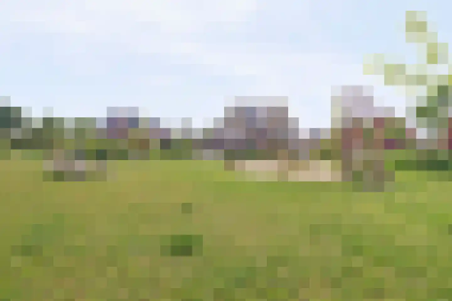 Vechtdal 14 Ede thumbnail 29