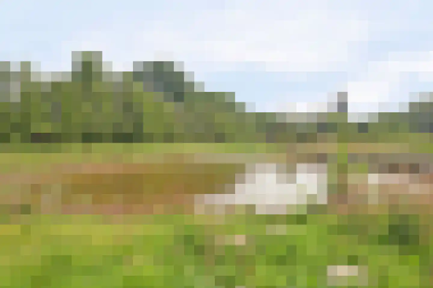 Vechtdal 14 Ede thumbnail 30