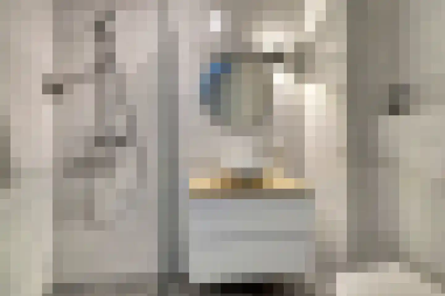Vechtdal 14 Ede thumbnail 4