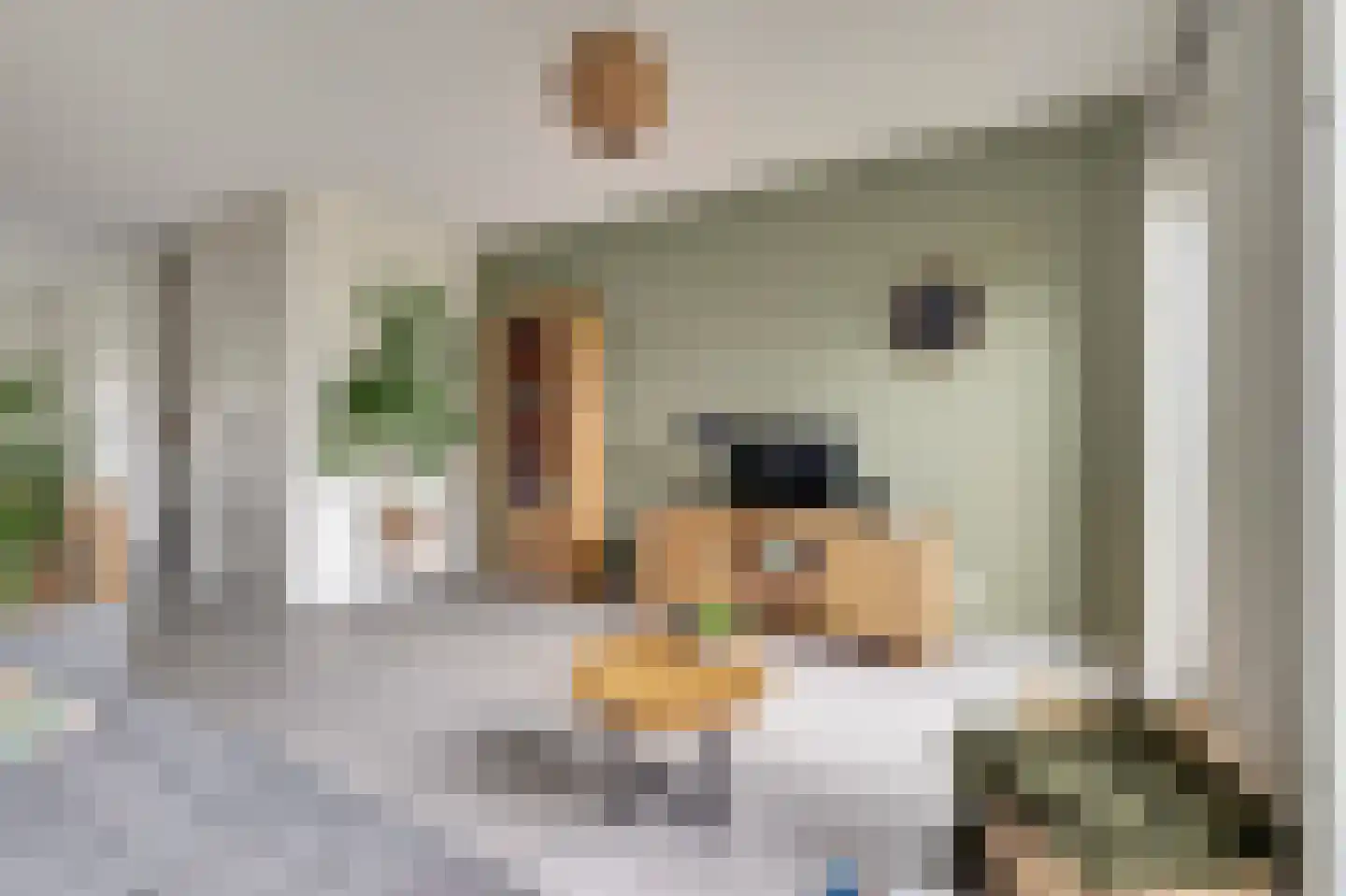 Vechtdal 14 Ede thumbnail 7