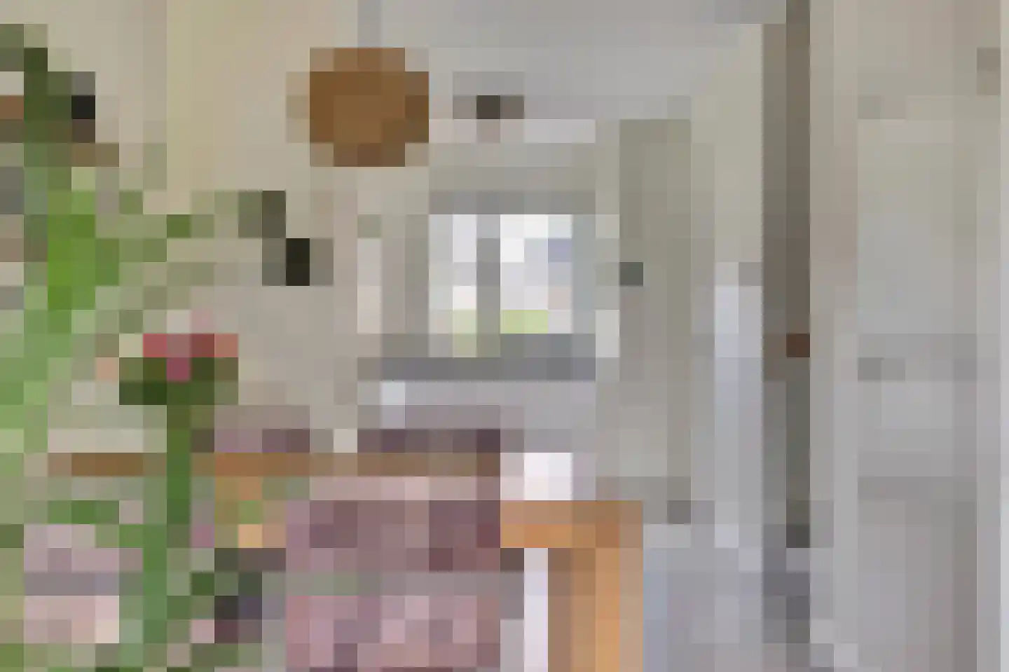 Vechtdal 14 Ede thumbnail 9