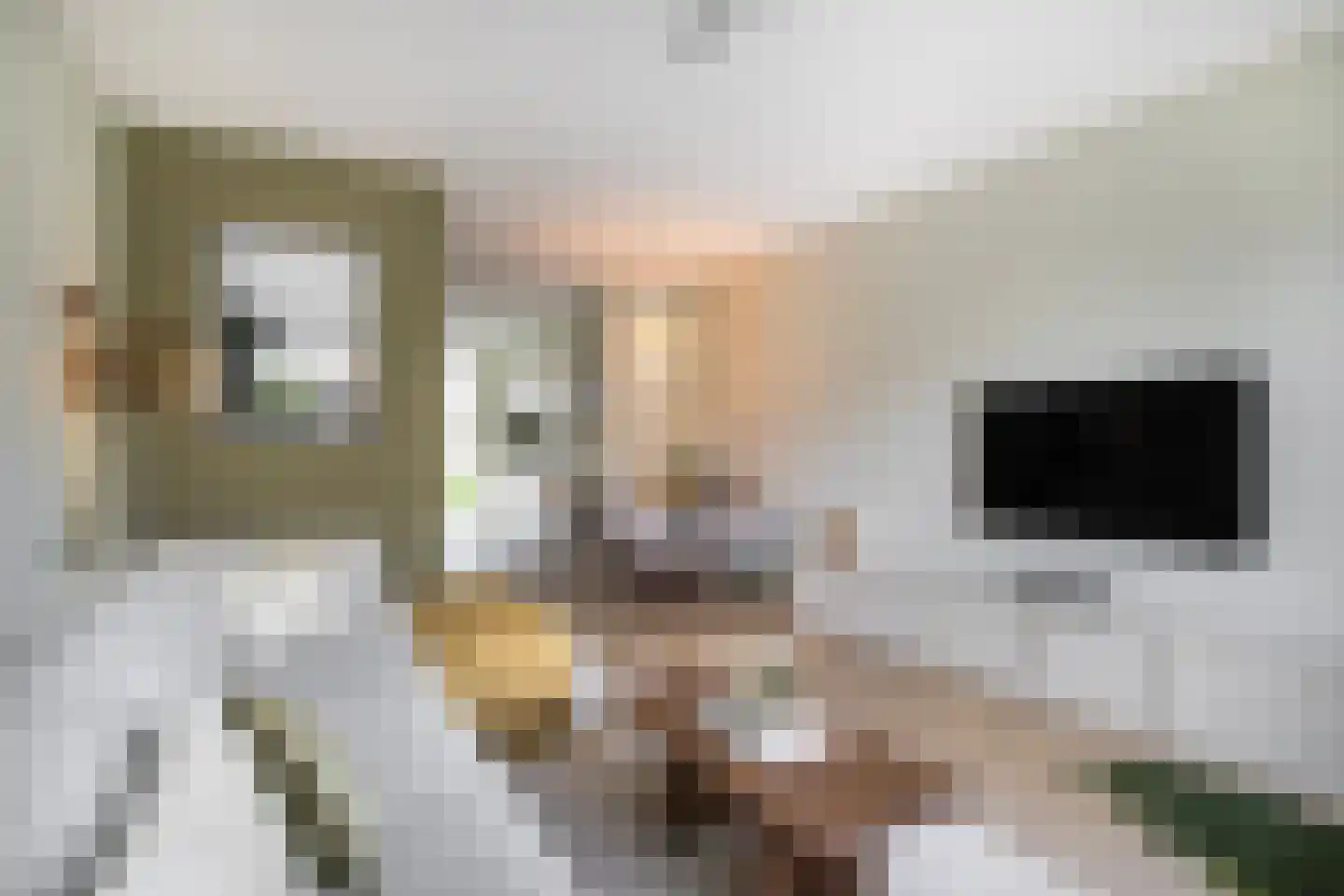 Vechtdal 29 Ede thumbnail 13