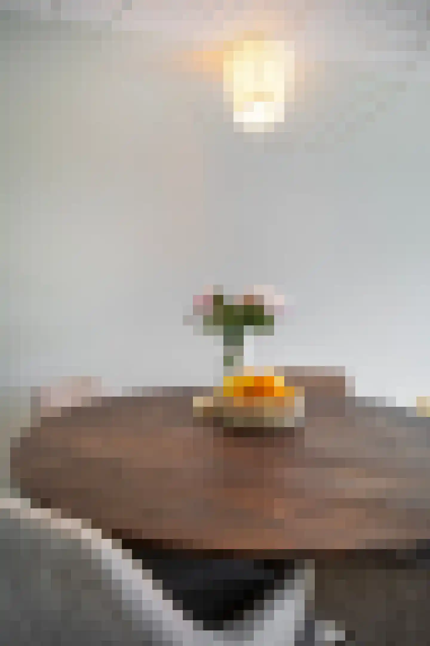 Vechtdal 29 Ede thumbnail 15