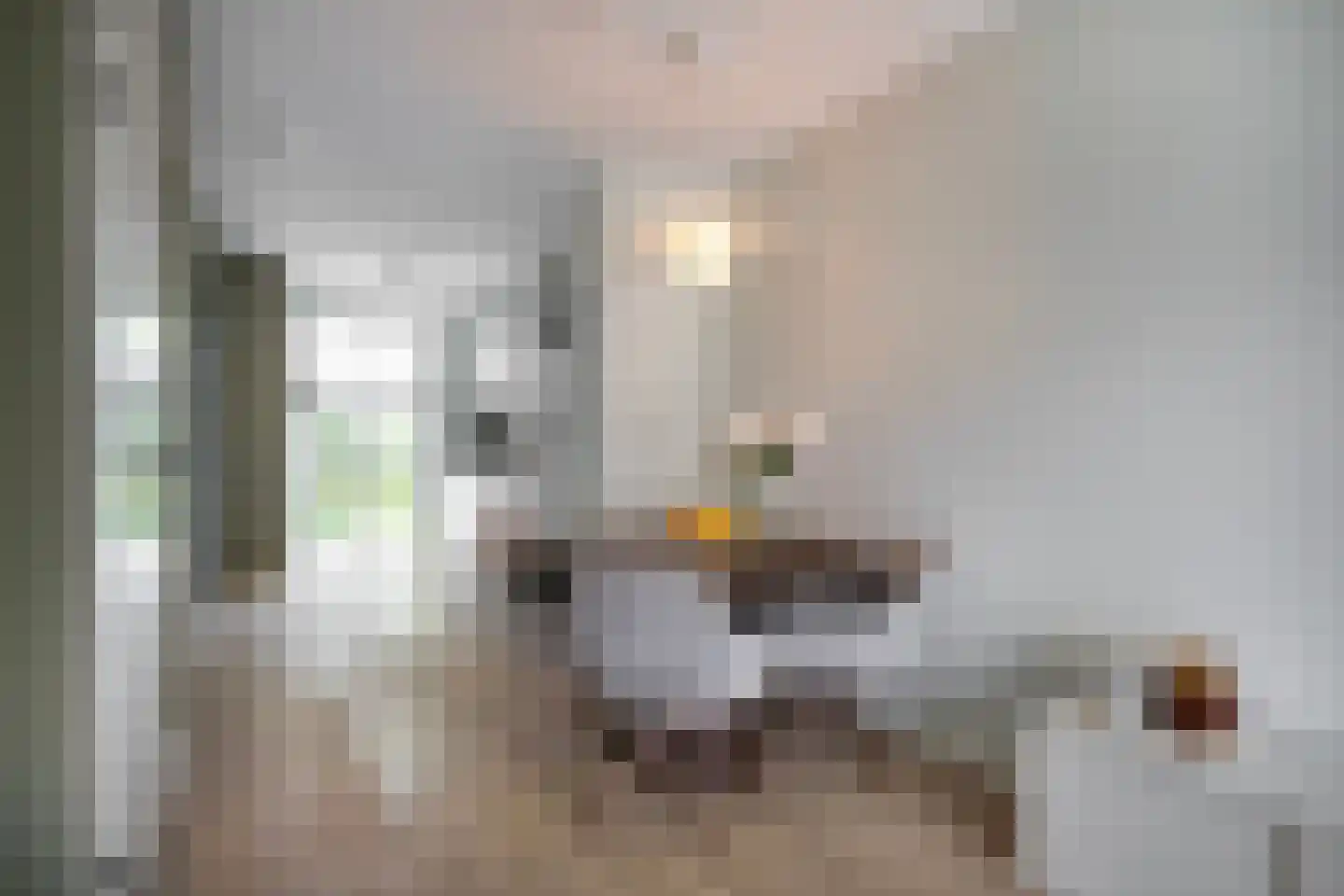 Vechtdal 29 Ede thumbnail 16