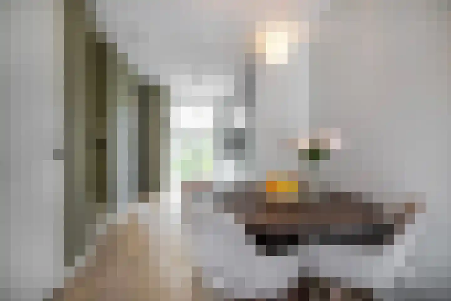 Vechtdal 29 Ede thumbnail 17