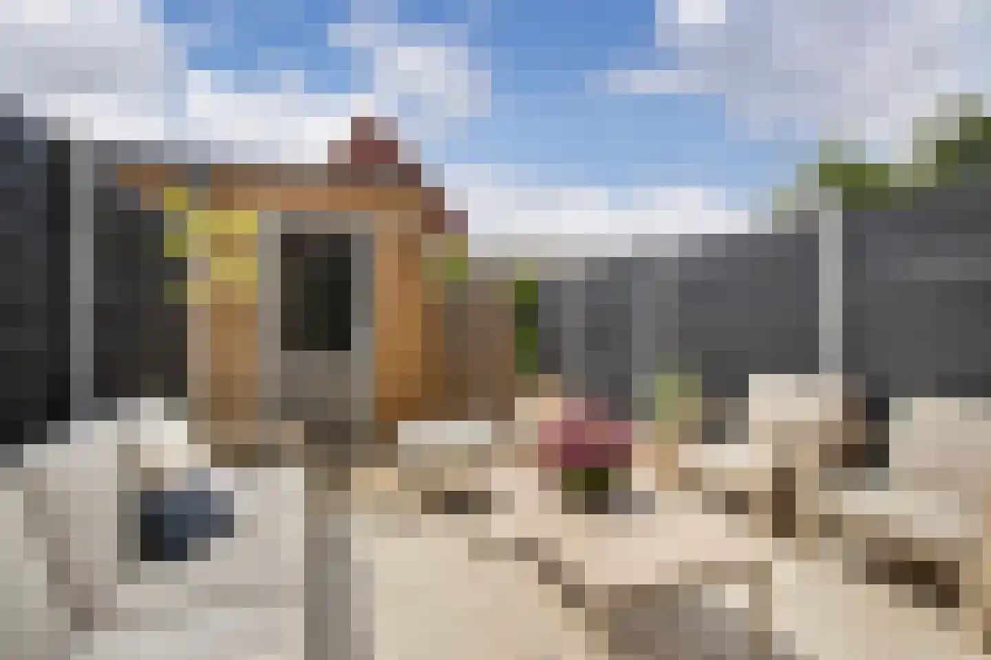 Vechtdal 29 Ede thumbnail 24