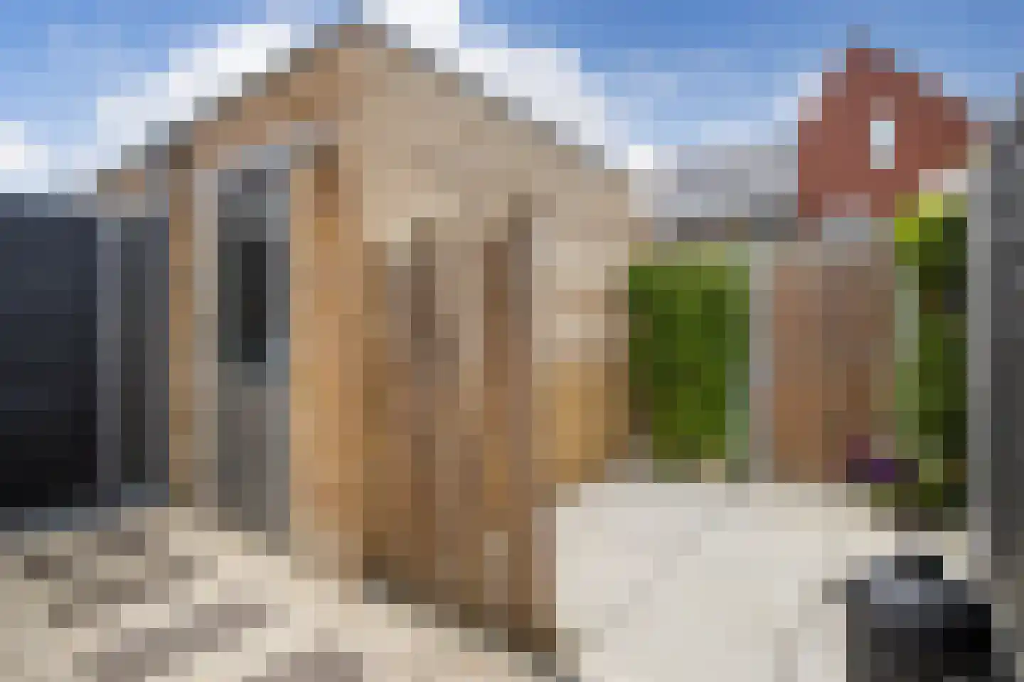 Vechtdal 29 Ede thumbnail 25