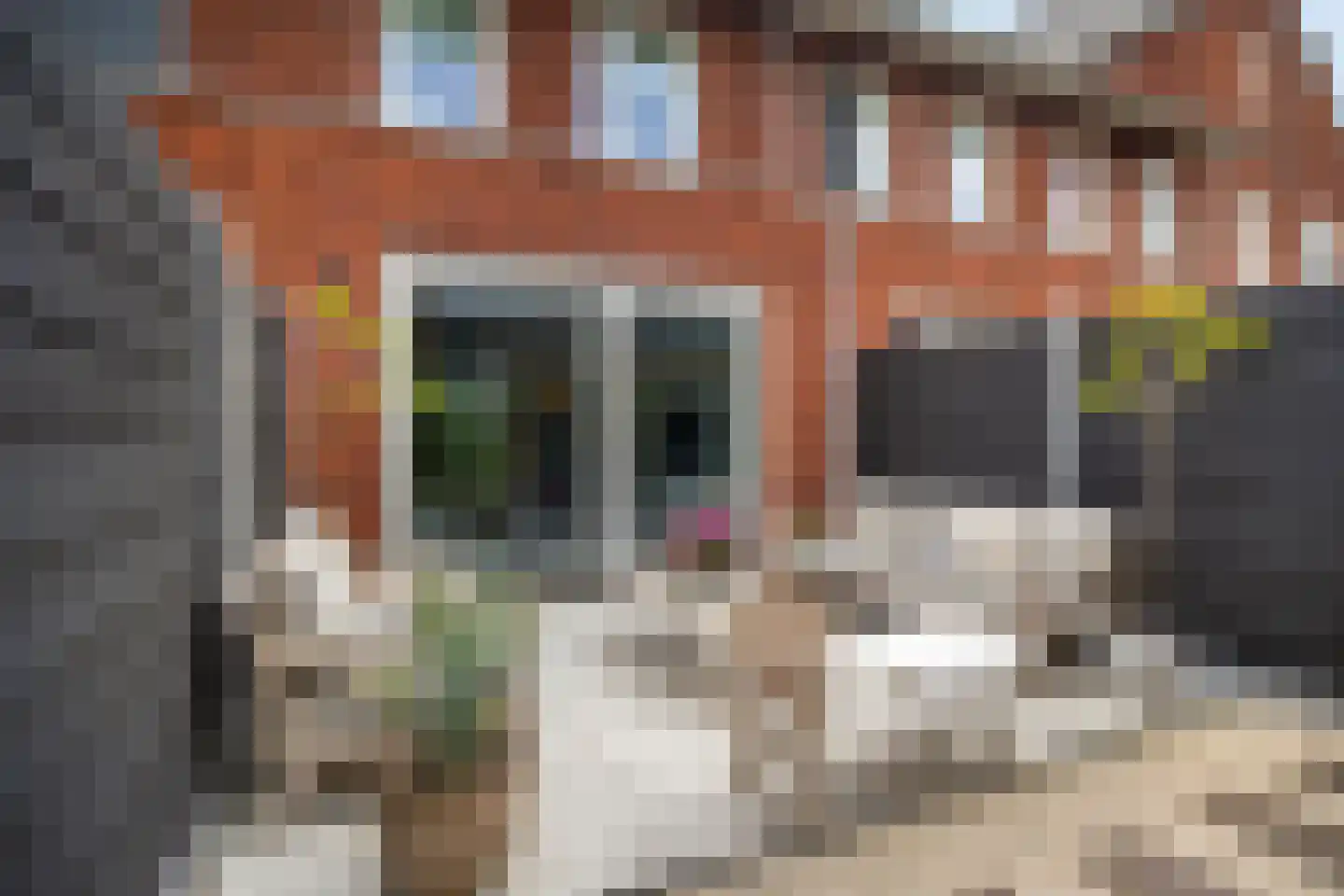 Vechtdal 29 Ede thumbnail 26