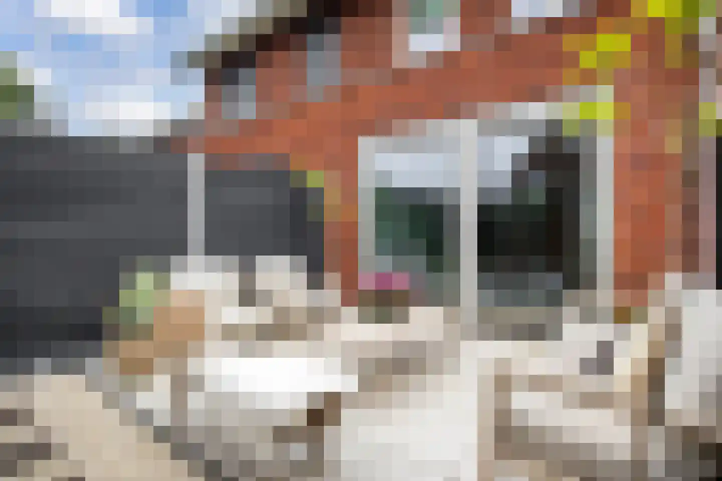 Vechtdal 29 Ede thumbnail 27