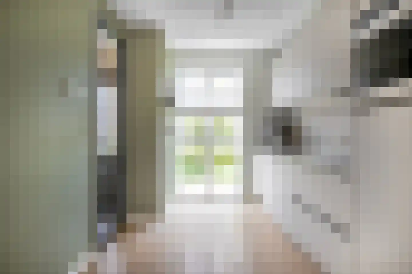 Vechtdal 29 Ede thumbnail 4