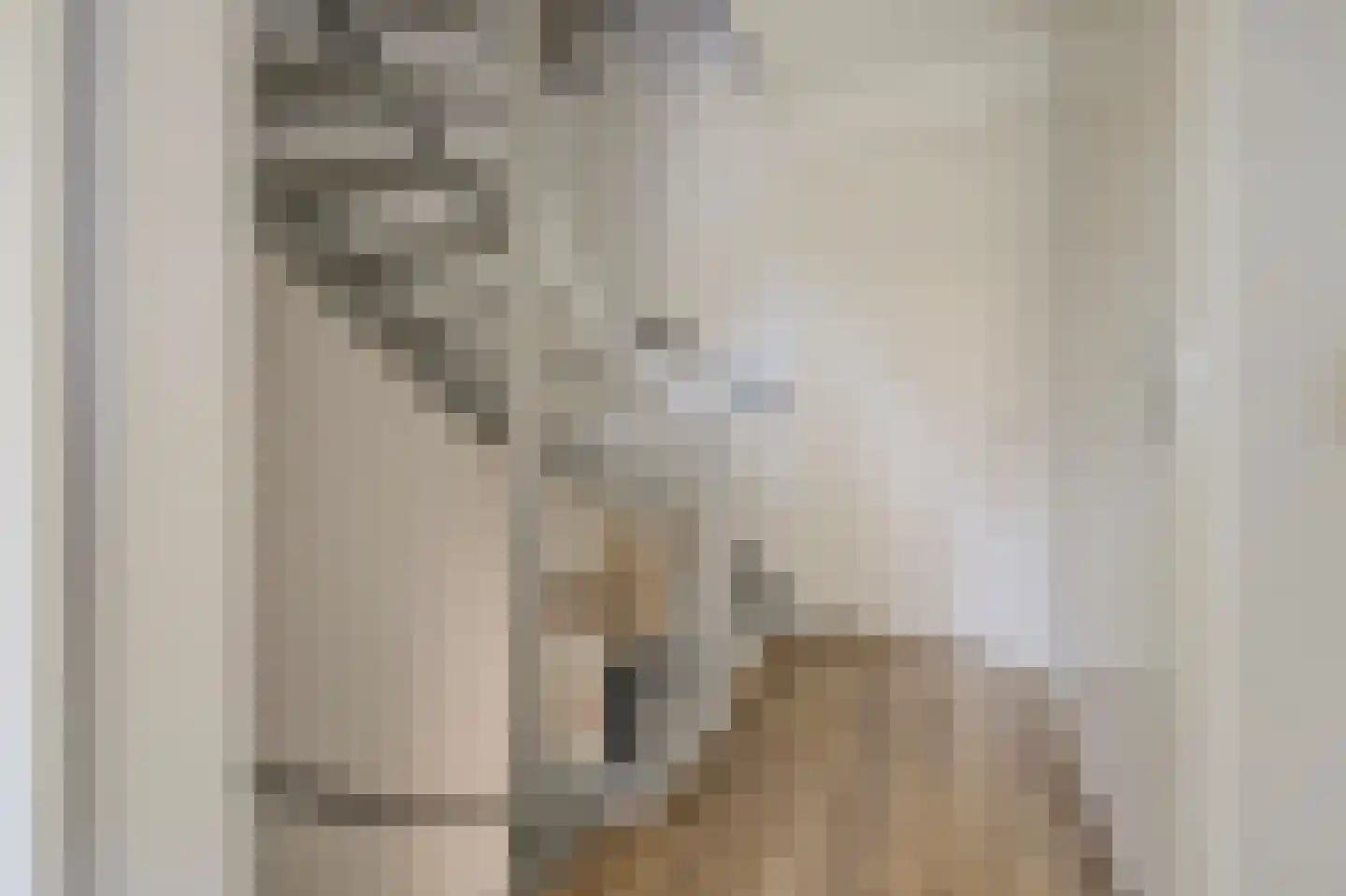 Vechtdal 32 Ede thumbnail 19