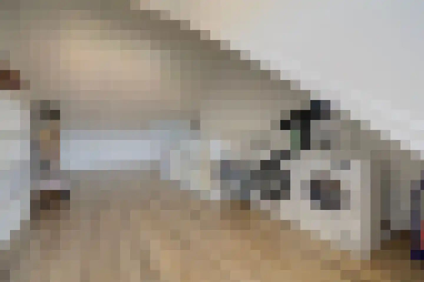 Vechtdal 32 Ede thumbnail 21