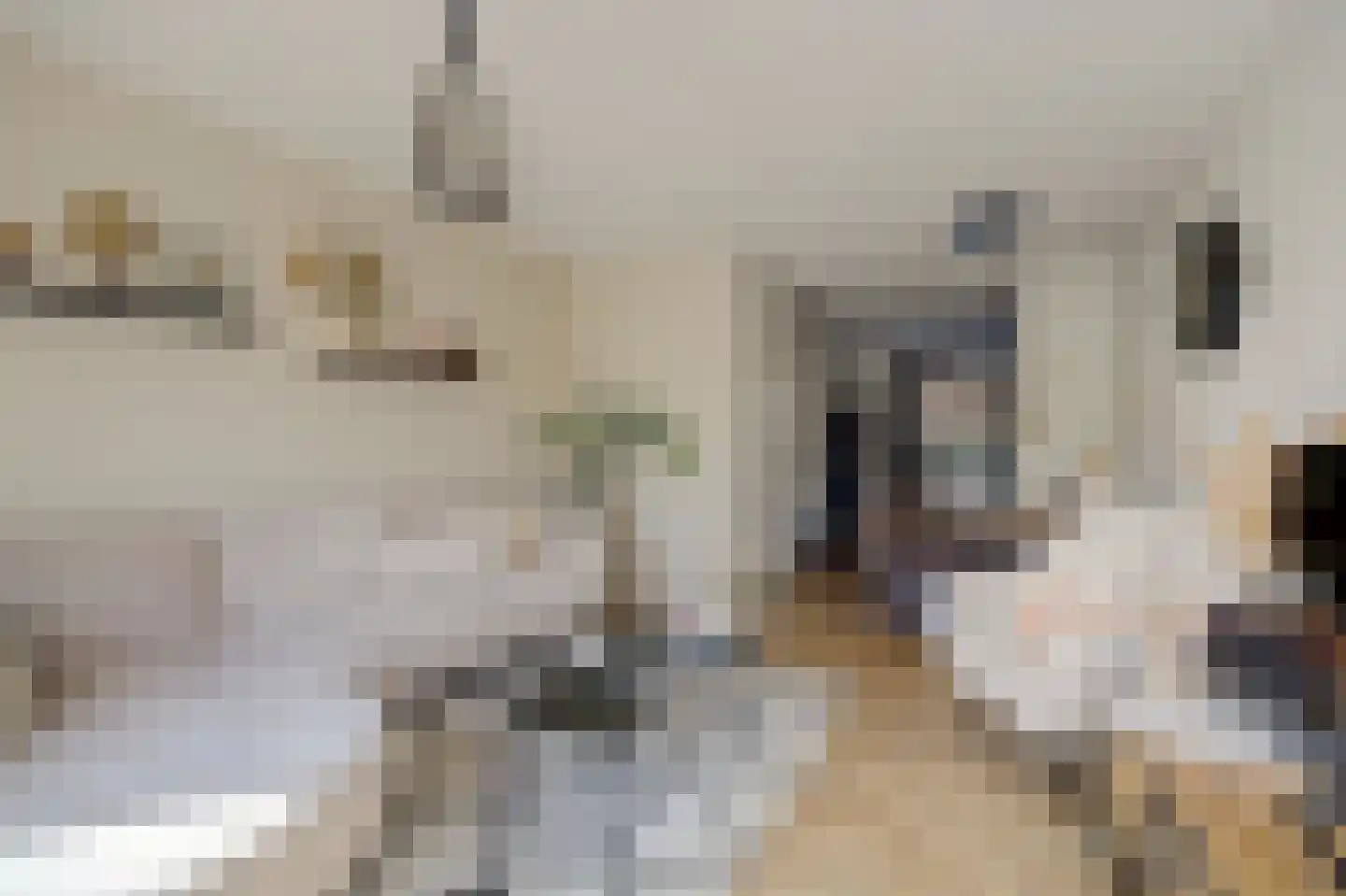 Vechtdal 32 Ede thumbnail 6