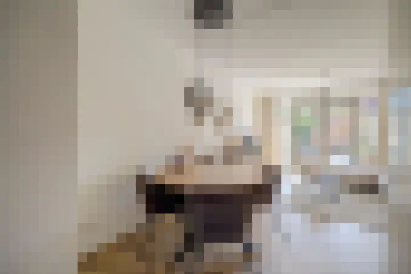 Vechtdal 32 Ede thumbnail 8