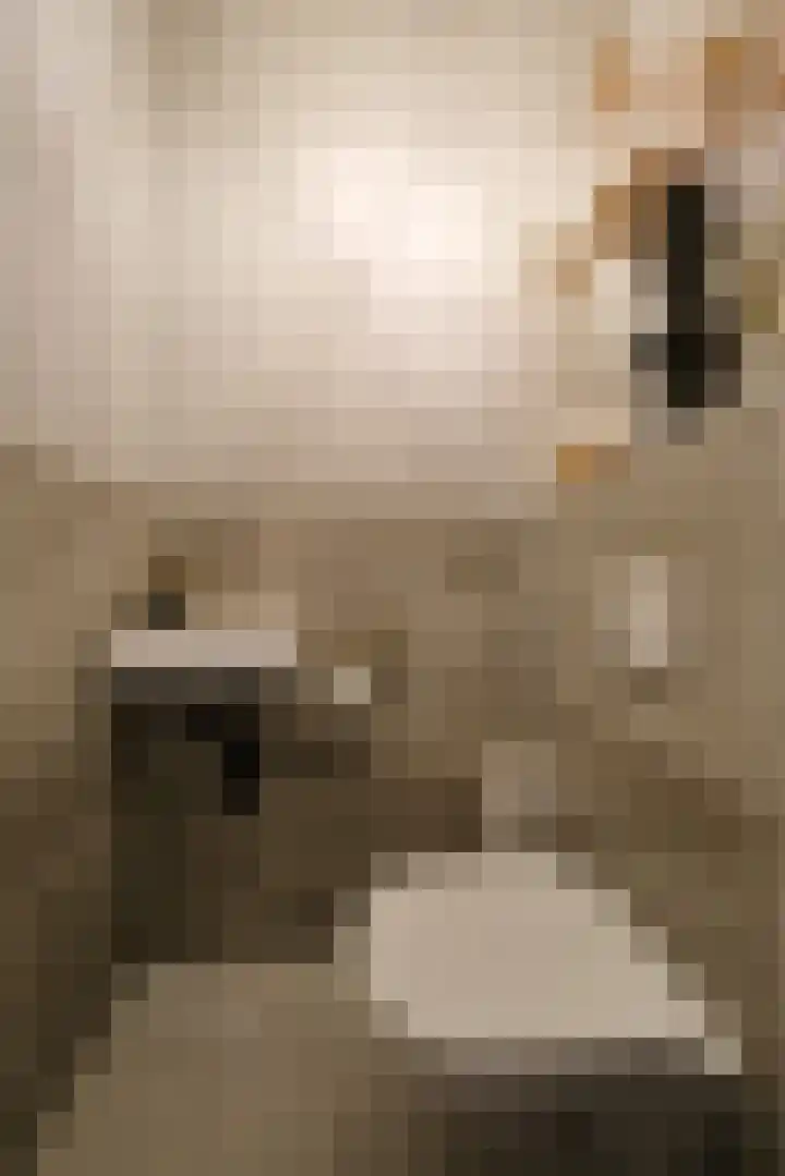 Vechtdal 8 Ede thumbnail 10