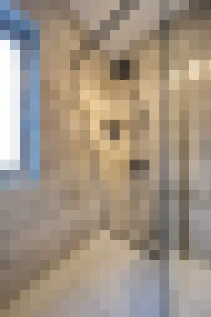 Vechtdal 8 Ede thumbnail 16