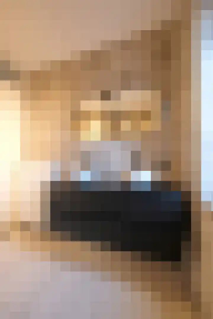 Vechtdal 8 Ede thumbnail 17